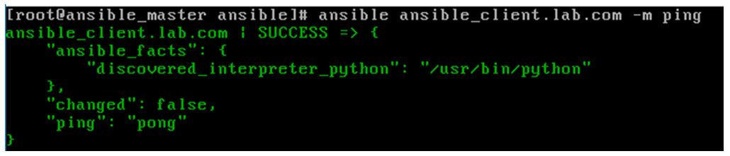 Ansible ad-hoc Commands 1