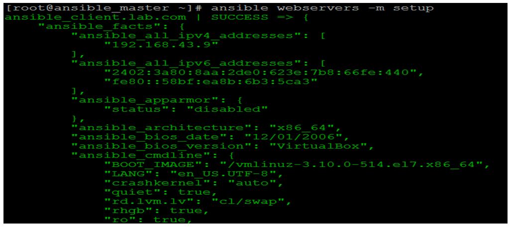 Ansible ad-hoc Commands 2