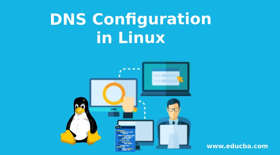 DNS Configuration in Linux