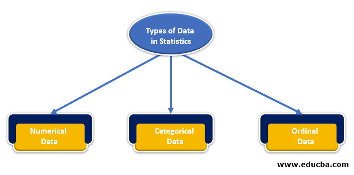 Different Types of Data in Statistics