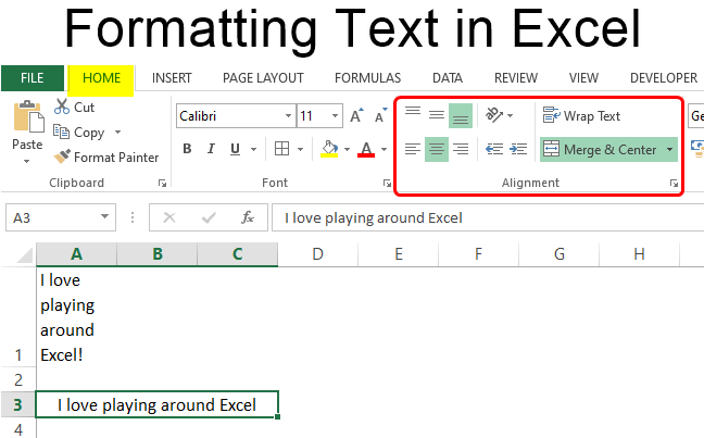 Formatting Text in Excel