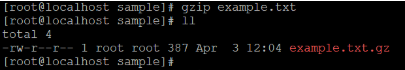 Linux gzip Example 1