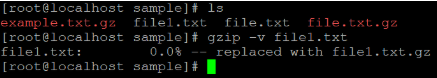 Linux gzip Example 3