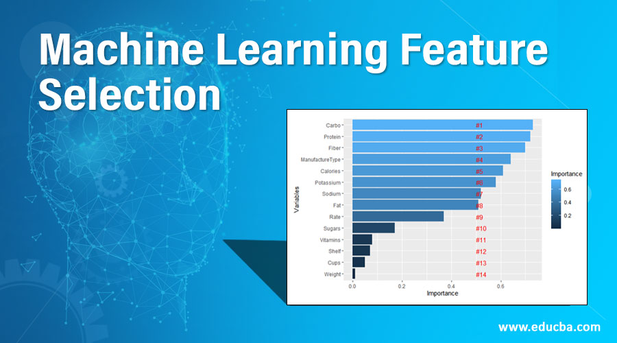Machine Learning Feature Selection