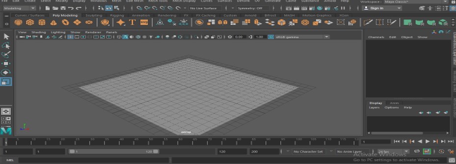 Perspective view port Perspective view port