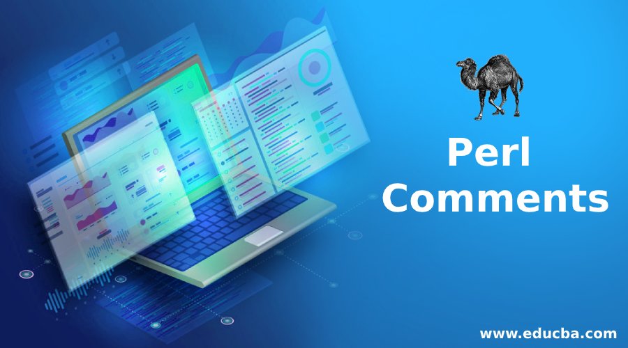 Perl Comments