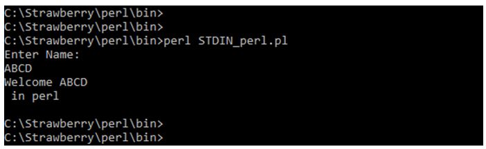 Perl STDIN 1