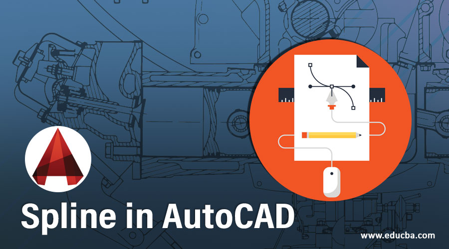 Spline in AutoCAD