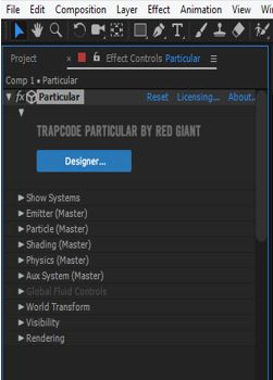 type of parameter type of parameter