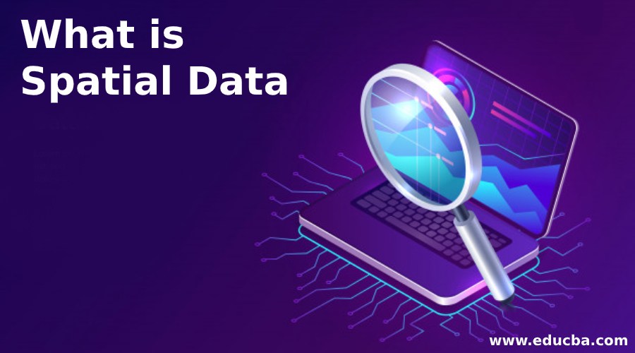What is Spatial Data