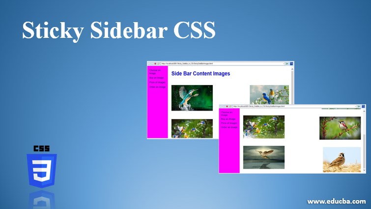 Sticky Slidebar CSS