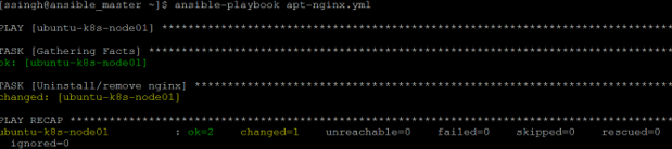 Ansible Apt - 13