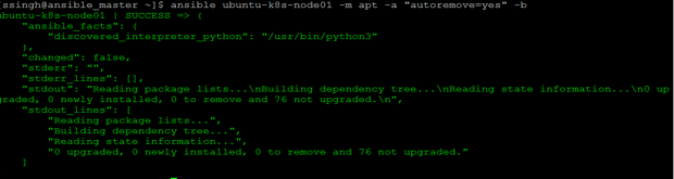 Ansible Apt - 24