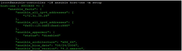 Ansible Facts output 1