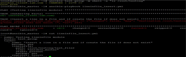 Ansible Lineinfile Example 1