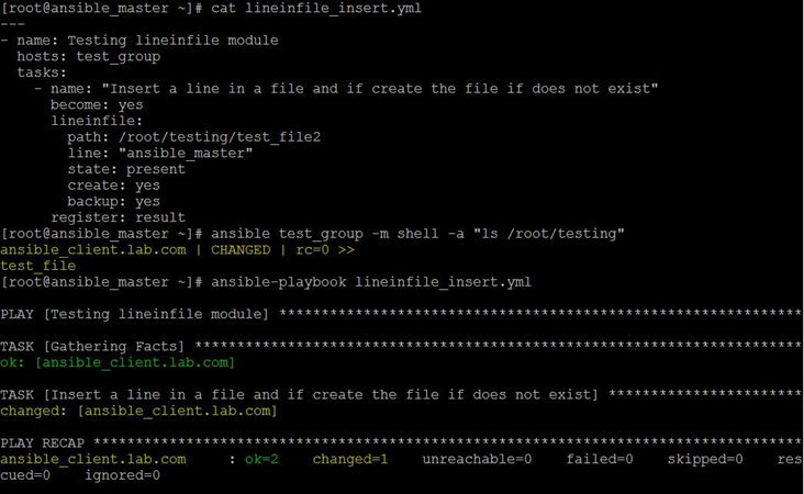 Ansible Lineinfile Example 2