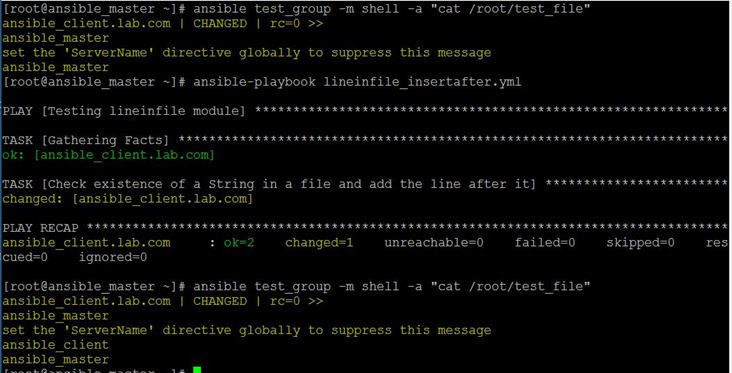 Ansible Lineinfile Example 4