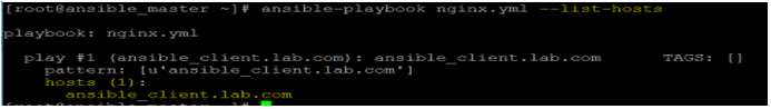 Ansible Playbooks output 2