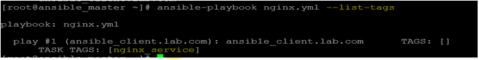 Ansible Playbooks output 3
