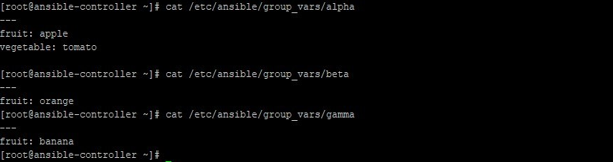 Ansible group_vars - 2