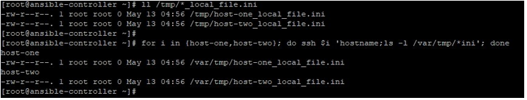 Ansible local_action output 2