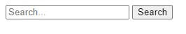 HTML Search Bar Example 1