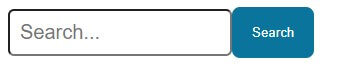 HTML Search Bar Example 2