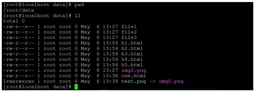 Linux Rename Command 1