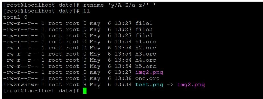 Linux Rename Command 7JPG