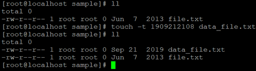 "-t" Option Example 5