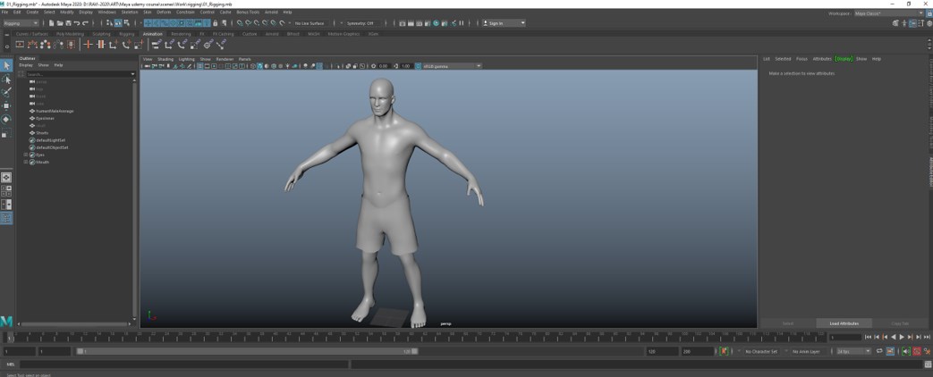 Rigging in Maya - 1