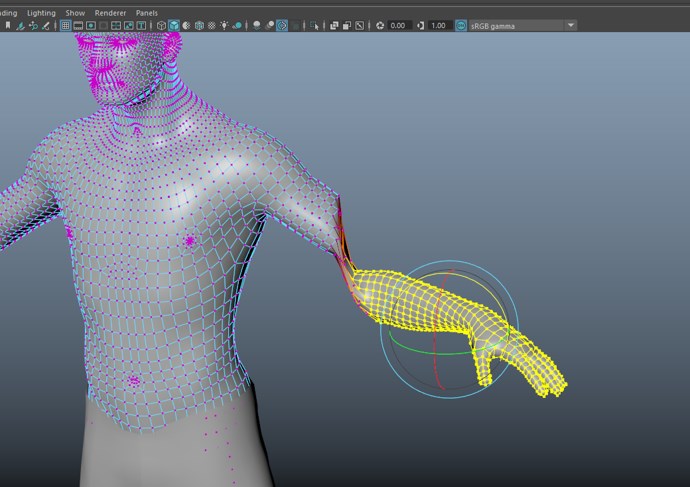 Rigging in Maya - 2