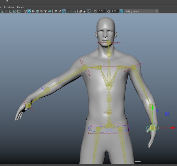 Rigging in Maya - 6