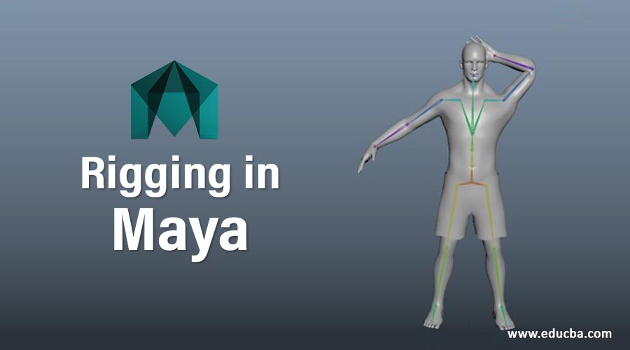 Rigging-in-Maya