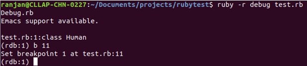 Ruby Debugger output 2