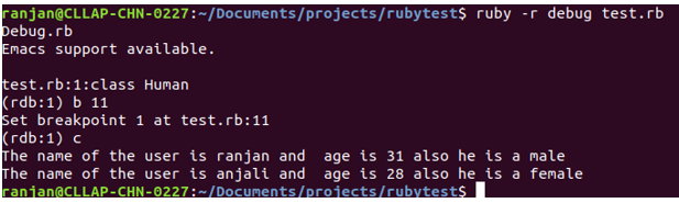 Ruby Debugger output 3