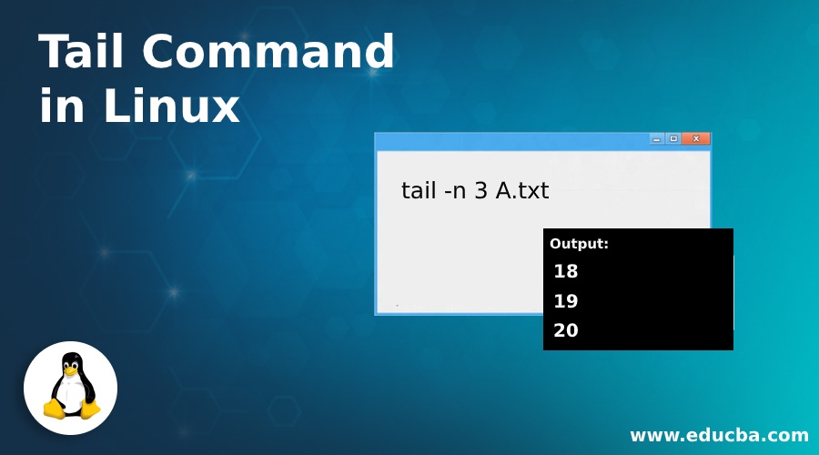 Tail Command in Linux