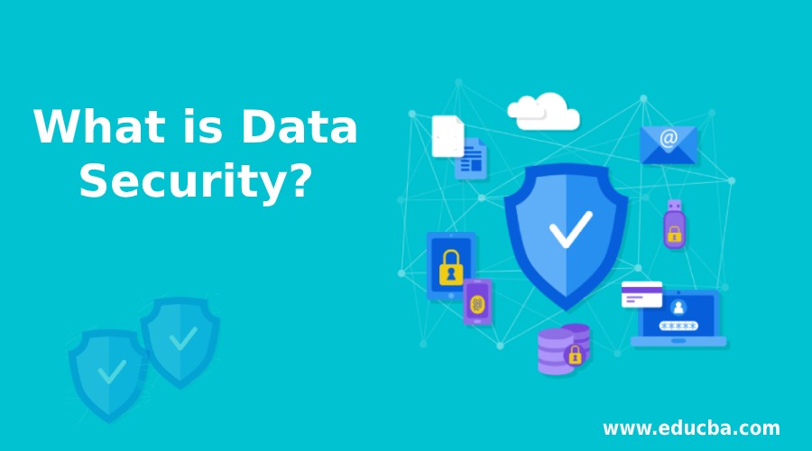 What is Data Security? Types and Importance of Data Security