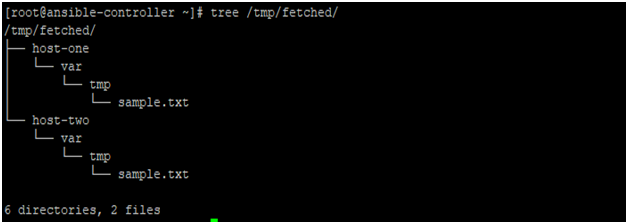 Directory Structure Example 1B