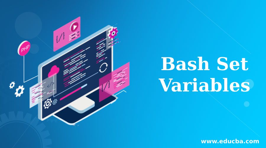 Bash Set Variables
