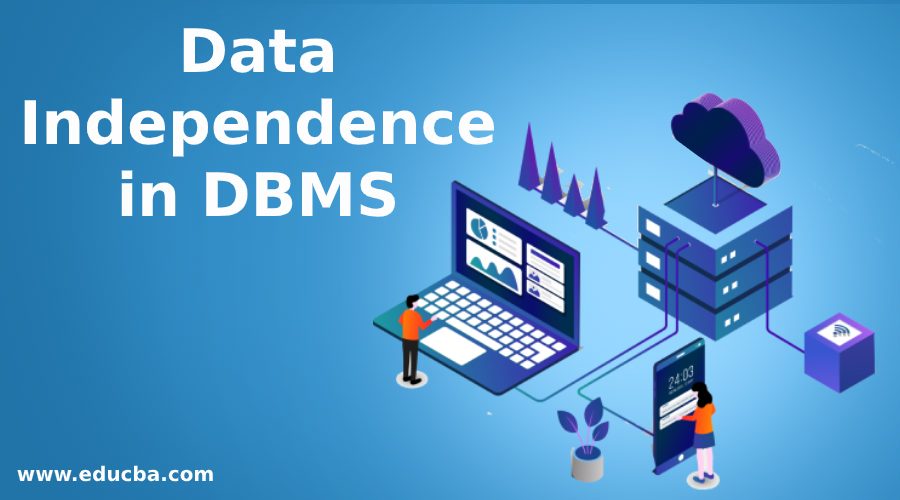 Data Independence in DBMS
