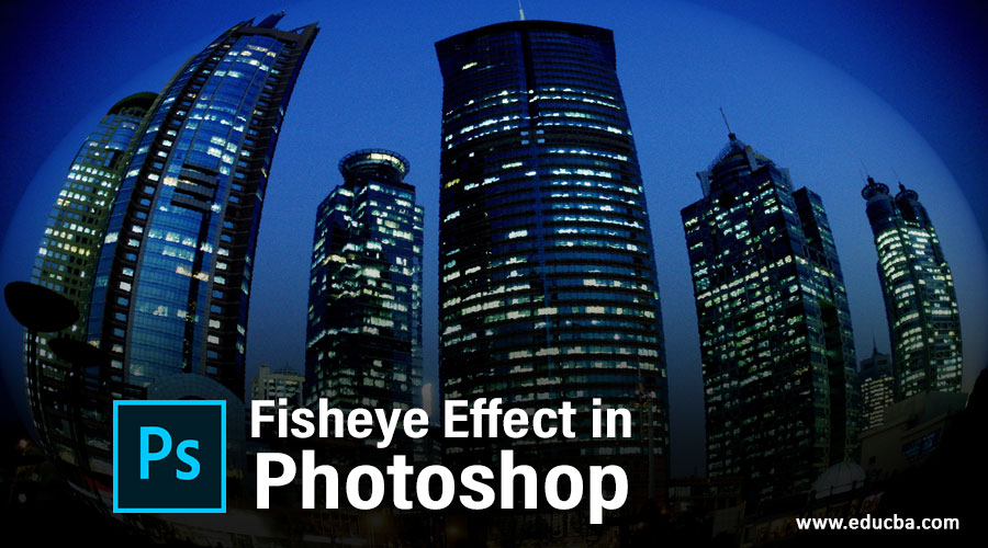 Fisheye Effect in Photoshop
