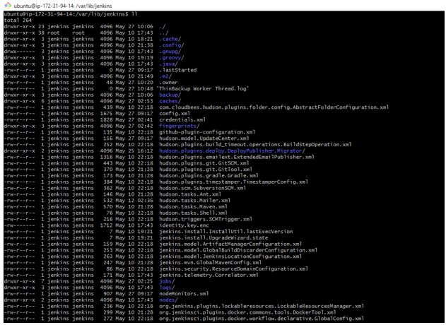 directory where backup generated