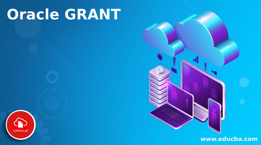 Oracle GRANT