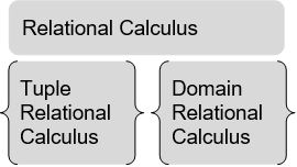 Relational Calculus in DBMS1