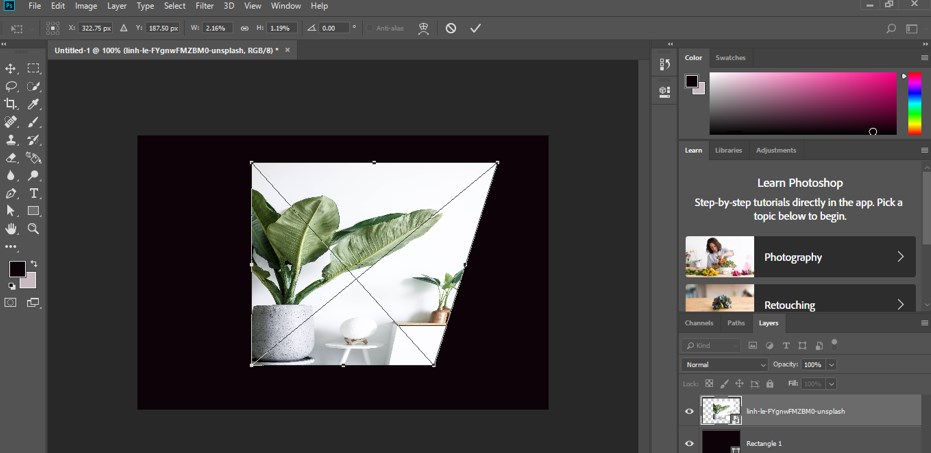Transform Tool Photoshop - 16