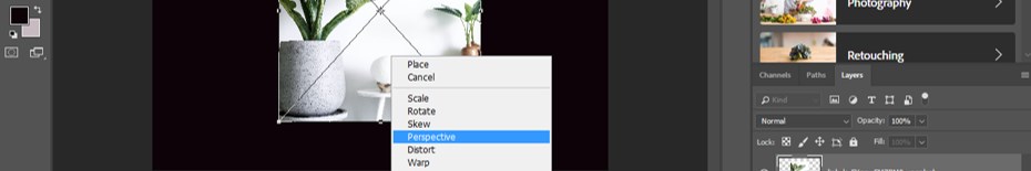 Transform Tool Photoshop - 17