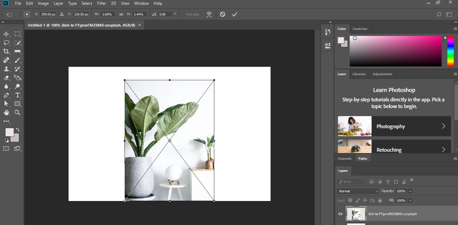 Transform Tool Photoshop - 3