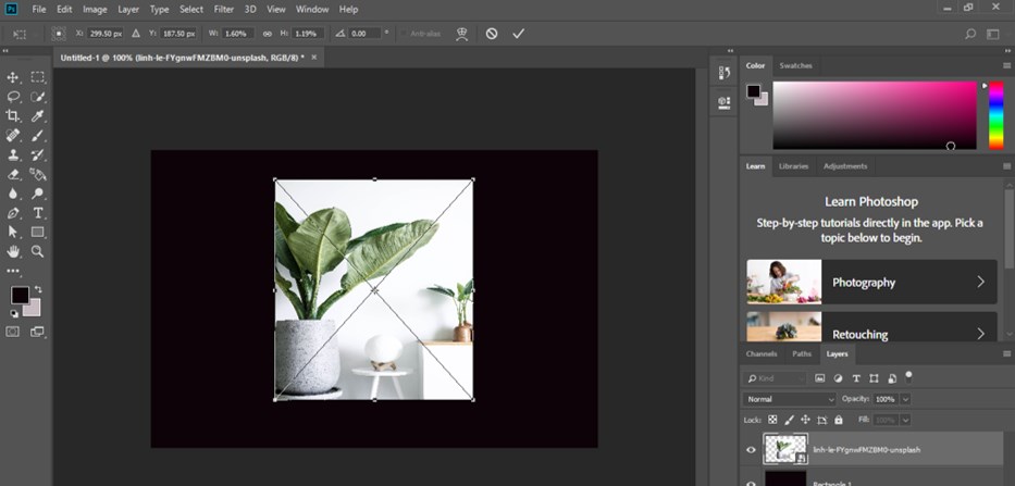 Transform Tool Photoshop - 6