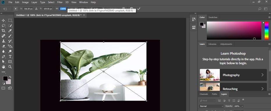 Transform Tool Photoshop - 9